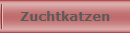 Zuchtkatzen